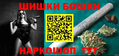 индика Можайск