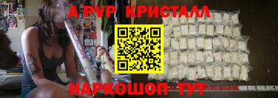 гашик Моздок