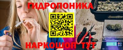 гашик Моздок