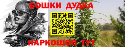 индика Можайск
