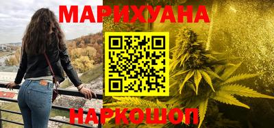 гашик Моздок