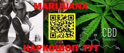 индика Можайск