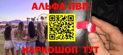 гашик Моздок