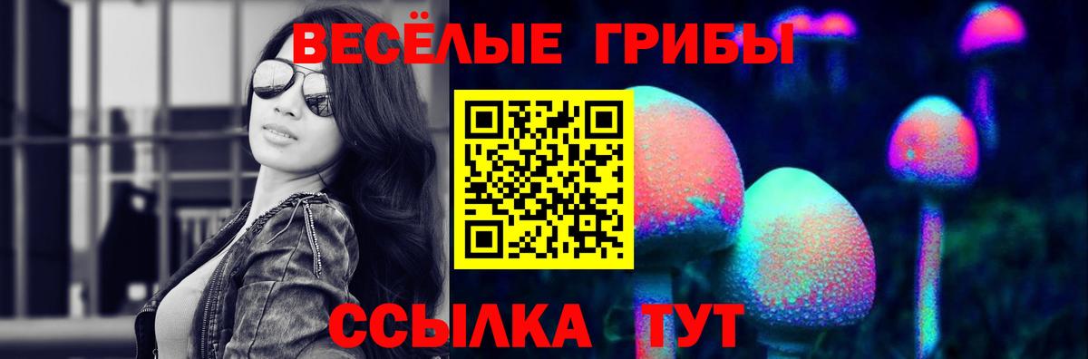 Галлюциногенные грибы MAGIC MUSHROOMS  Вход с VPN  Сердобск 